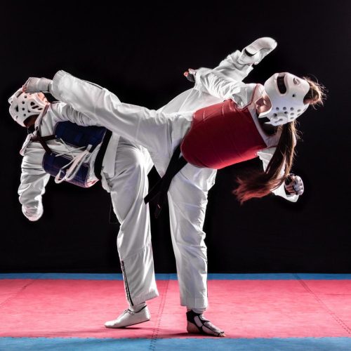 taekwondo en quilmes